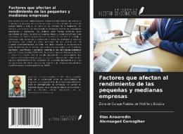 Factores que afectan al rendimiento de las pequeñas y medianas empresas di Ilias Anwaredin, Alemseged Gerezgiher edito da Ediciones Nuestro Conocimiento