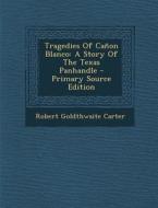 Tragedies of Canon Blanco: A Story of the Texas Panhandle - Primary Source Edition di Robert Goldthwaite Carter edito da Nabu Press