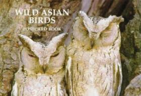 Wild Asian Birds Postcard Book di Mark Brazil edito da Pelican Publishing Co