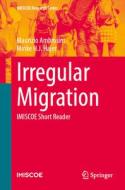 Irregular Migration di Minke H. J. Hajer, Maurizio Ambrosini edito da Springer International Publishing