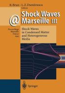 Shock Waves @ Marseille III edito da Springer Berlin Heidelberg