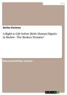 A Right To Life Before Birth. Human Dignity In Biolaw - The Broken Promise? di Stefan Kirchner edito da Grin Verlag Gmbh