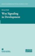 Wnt Signaling in Development di Michael Kuhl edito da Springer US