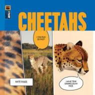 Cheetahs di Kate Riggs edito da Creative Company