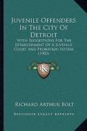 Juvenile Offenders in the City of Detroit: With Suggestions for the Establishment of a Juvenile Court and Probation System (1903) di Richard Arthur Bolt edito da Kessinger Publishing