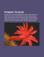 Powiat Plocki: Gmina Bielsk, Gmina Bodza di R. D. O. Wikipedia edito da Books LLC, Wiki Series