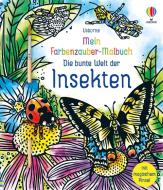 Mein Farbenzauber-Malbuch: Die bunte Welt der Insekten di Abigail Wheatley edito da Usborne Verlag