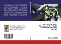 W13: Performance Management of Water Utilities in Developing Countries di Murod Sattarov edito da LAP Lambert Academic Publishing