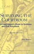 Surveying the Courtroom di John Briscoe, Briscoe edito da John Wiley & Sons