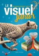 Le Visuel Junior: Dictionnaire Français - Anglais di Québec Amérique edito da QUEBEC AMERIQUE