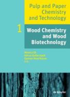 Wood Chemistry and Wood Biotechnology edito da Walter de Gruyter