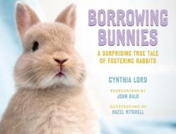 Borrowing Bunnies di Cynthia Lord edito da Farrar, Straus & Giroux Inc