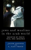 Jews and Muslims in the Arab World di Jacob Lassner, S. Ilan Troen edito da Rowman & Littlefield Publishers, Inc.