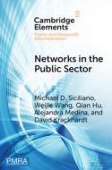 Networks In The Public Sector di Michael D. Siciliano, Weijie Wang, Qian Hu, Alejandra Medina, David Krackhardt edito da Cambridge University Press