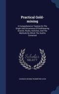Practical Gold-mining edito da Sagwan Press
