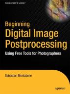 Beginning Digital Image Processing di Sebastian Montabone edito da Apress