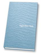 Hg2: A Hedonist's Guide To New York di Andrew Stone edito da Filmer Ltd