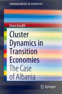 Cluster Dynamics in Transition Economies di Elona Karafili edito da Springer International Publishing