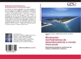Modelación morfodinámica de desembocaduras a escala intra-anual di Oscar Alvarez Silva, Andrés Gómez Giraldo, Andrés F. Osorio edito da EAE