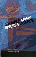 Juvenile Crime, Juvenile Justice di Institute Of Medicine, National Research Council, Commission On Behavioral And Social Scie edito da NATL ACADEMY PR
