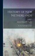 History of New Netherlands: Or, New York Under the Dutch; Volume 1 di Edmund Bailey O'Callaghan edito da LEGARE STREET PR