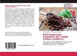 Embriogénesis somática del cafeto Coffea arabica L. di Silvia Montes Cruz, Miguel Echeverría edito da EAE