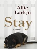 Stay di Allie Larkin edito da Large Print Press