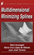 Multidimensional Minimizing Splines di R. Arcangéli, María Cruz López de Silanes, Juan José Torrens edito da Springer US