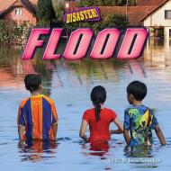 Flood di M. Jean Greenlaw edito da BEARPORT PUB CO INC