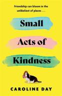 Small Acts Of Kindness di Caroline Day edito da Zaffre