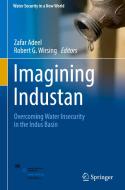 Imagining Industan edito da Springer International Publishing Ag
