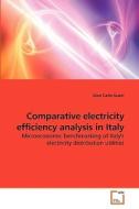 Comparative electricity efficiency analysis in Italy di Gian Carlo Scarsi edito da VDM Verlag