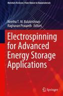 Electrospinning for Advanced Energy Storage Applications edito da SPRINGER NATURE