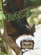 Bats di Cindy Rodriguez edito da Rourke Educational Media