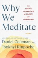 Why We Meditate: The Science and Practice of Clarity and Compassion di Daniel Goleman, Tsoknyi Rinpoche edito da ATRIA