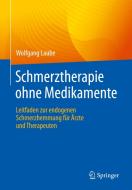 Schmerztherapie ohne Medikamente di Wolfgang Laube edito da Springer-Verlag GmbH