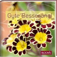 Gute Besserung! edito da Blooms GmbH
