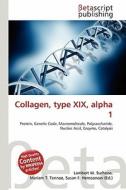 Collagen, Type XIX, Alpha 1 edito da Betascript Publishing
