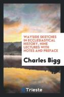 Wayside sketches in ecclesiastical history, nine lectures with notes and preface di Charles Bigg edito da Trieste Publishing