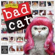 Bad Cat Wall Calendar 2017 di Workman Publishing edito da Algonquin Books (division Of Workman)