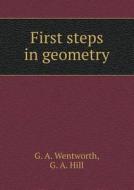 First Steps In Geometry di G A Wentworth, G A Hill edito da Book On Demand Ltd.