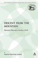 Descent from the Mountain di Martin Ravndal Hauge edito da Continuum Publishing Corporation