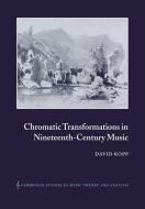Chromatic Transformations in Nineteenth-Century Music di David Kopp edito da Cambridge University Press