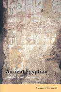 Ancient Egyptian di Antonio Loprieno edito da Cambridge University Press