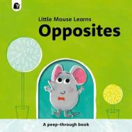 OPPOSITES di MIKE HENSON edito da QUARTO PUBLISHING GROUP