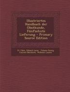 Illustriertes Handbuch Der Obstkunde, Funfzehnte Lieferung di Fr Jahn, Eduard Lucas edito da Nabu Press