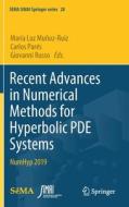 Recent Advances in Numerical Methods for Hyperbolic PDE Systems edito da Springer International Publishing