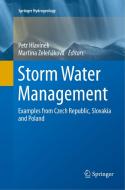 Storm Water Management edito da Springer International Publishing