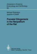 Prenatal Gliogenesis in the Neopallium of the Rat di Michael Rickmann, Joachim R. Wolff edito da Springer Berlin Heidelberg