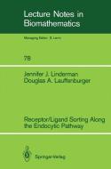 Receptor/Ligand Sorting Along the Endocytic Pathway di Douglas A. Lauffenburger, Jennifer J. Linderman edito da Springer Berlin Heidelberg